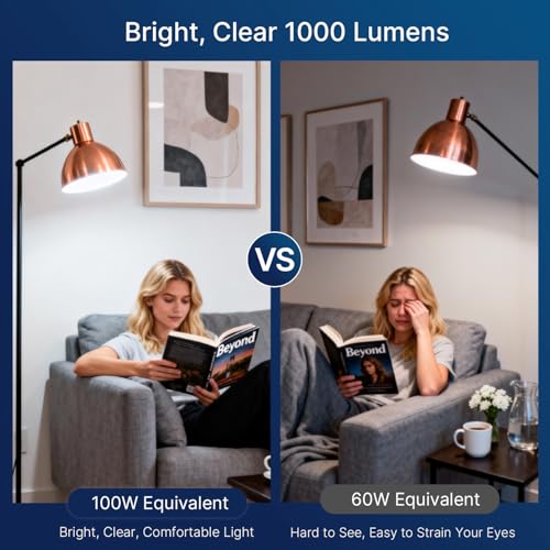 100W Equivalent LED Edison Bulbs (6 Count)