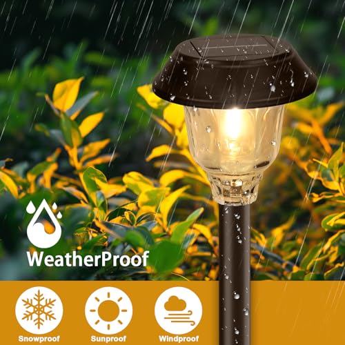 Solar Lights Outdoor Waterproof (6 Count)