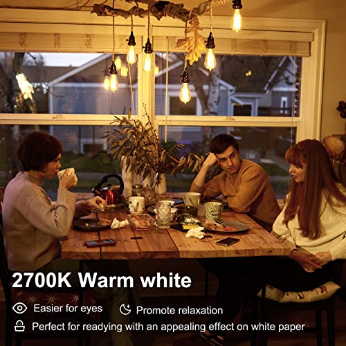 LED Edison Light Bulbs (10 Count)