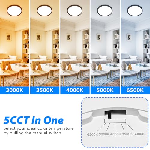 12 inch LED Ceiling Light