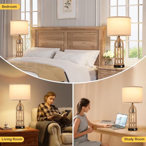 Table Lamps for Living Room (2 Count)