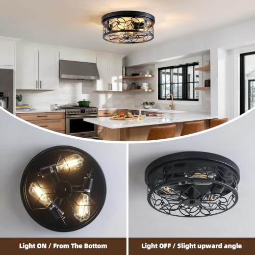 12.6" Gold Accent Flush Mount Ceiling Light (Black)