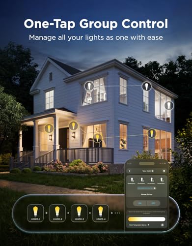 Edison Bulbs ST19 (4 Count)