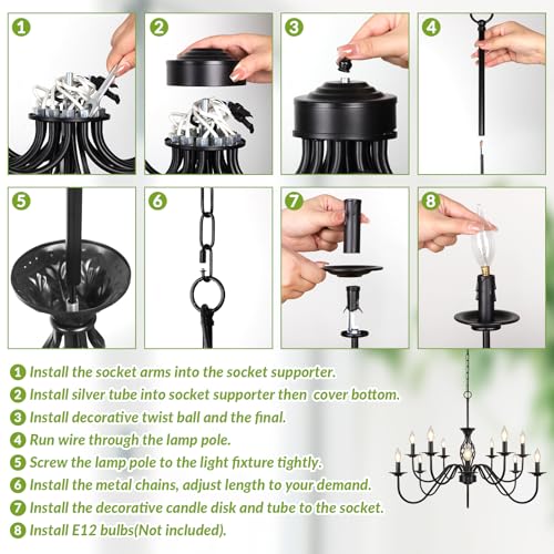 Matte Black 12 (12 Count)