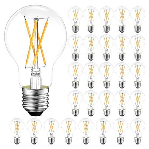 A19 Clear light Bulbs (24 Count)