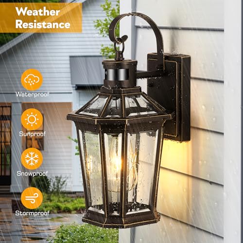 Outdoor Porch Lights Wall Mount (2 Count)