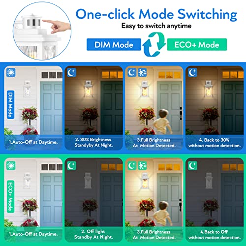 Motion Sensor Outdoor Lights