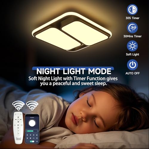 Modern LED Ceiling Light Fixture