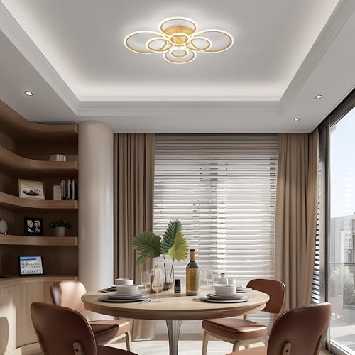 Modern LED Ceiling Light