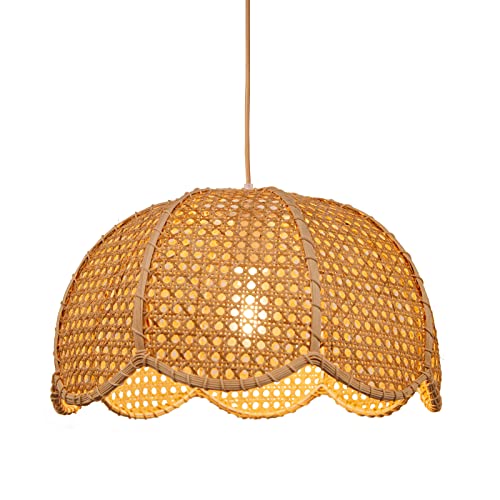 Indoor Hanging Ceiling Light Fixture