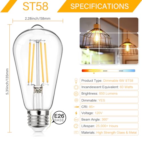 Dimmable Vintage LED Edison Bulbs 60W Equivalent 6W 850 Lumens (12 Count)