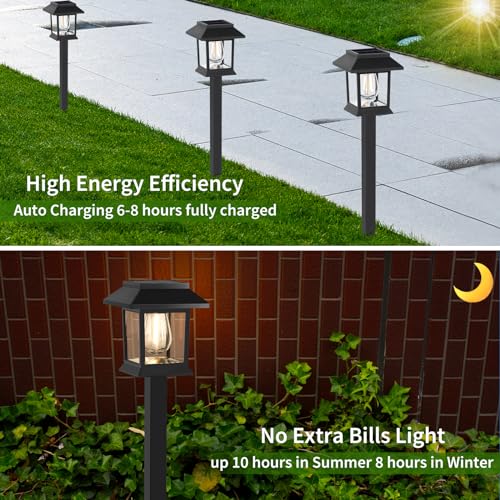 Solar Lights Outdoor (6 Count)