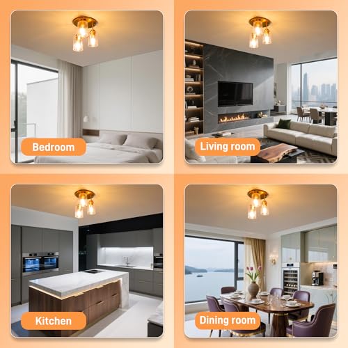 Semi Flush Mount Ceiling Light