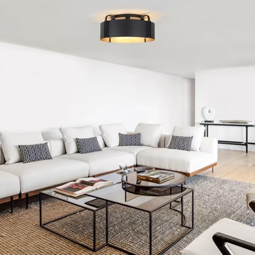 Flush Mount Ceiling Light