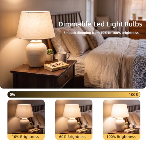100W Equivalent A19 LED Light Bulbs 3000K (6 Count)