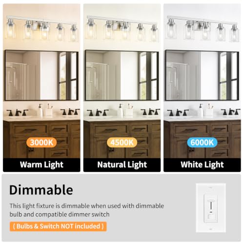 Bathroom Vanity Light