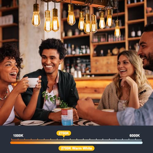 4Pack Edison Light Bulbs (4 Count)