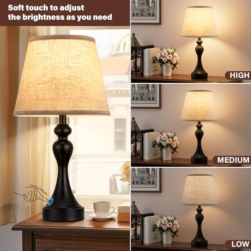 Touch Lamps for Nightstand (2 Count)