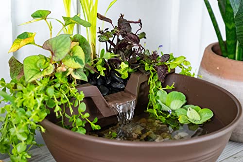 AquaGarden Tabletop Fountain Kit