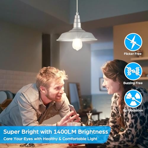 12 Pack Vintage LED Edsion Bulbs 100W Equivalent (12 Count)