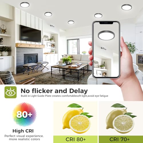 1PACK Flush Mount LED Ceiling Light Fixture Black