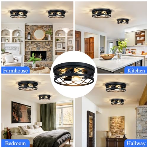 2 Pack Flush Mount Ceiling Light Fixture (2 Count)