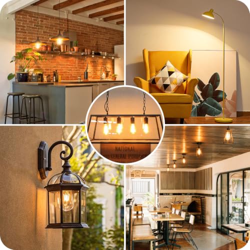 12 Pack Vintage LED Edsion Bulbs 100W Equivalent (12 Count)
