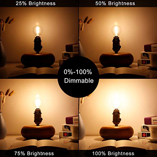 G16.5 E12 Bulb (6 Count)