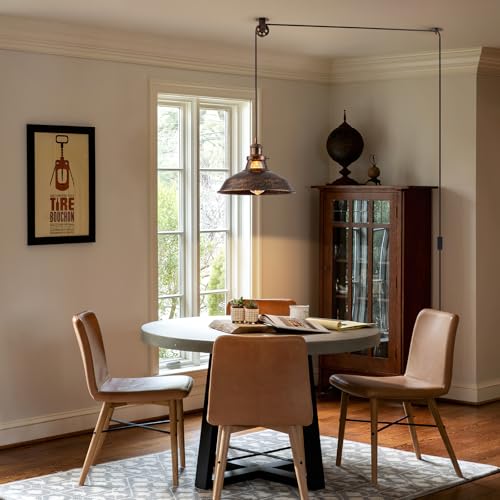 Plug in Pendant Light with 16FT Cord