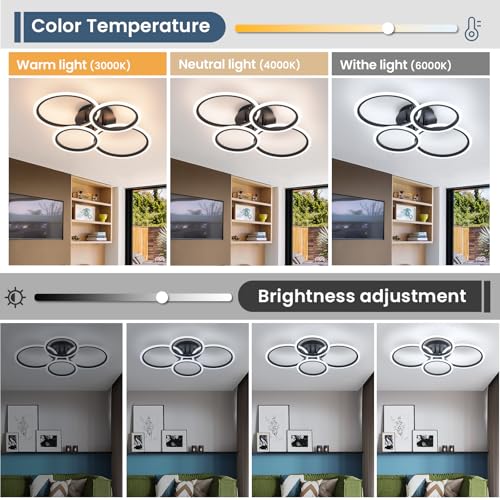Black Modern Ceiling Light