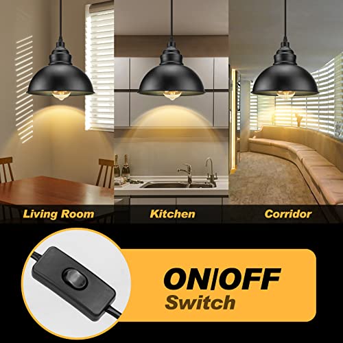 Plug in Pendant Light