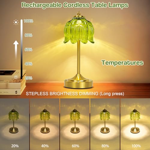 Cordless Table Lamp