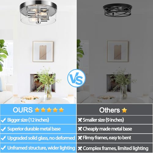 Flush Mount Ceiling Light Fixtures (2 Count)