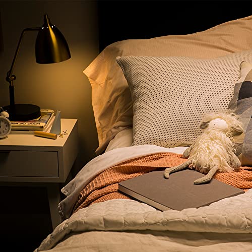 Relax BR30 LED Floodlight Bulbs (4 Count)