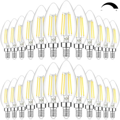 24 Pack Dimmable E12 LED Candelabra Bulbs 60W Equivalent (24 Count)