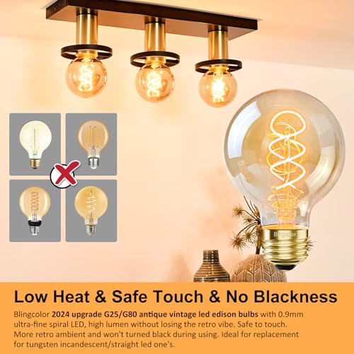 E26 Dimmable G25 (4 Count)