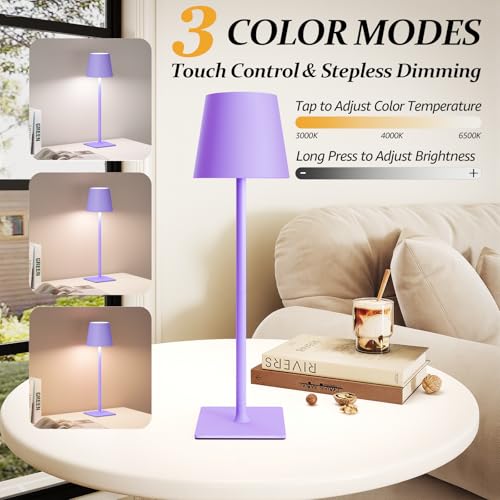2 Pack Cordless Table Lamps