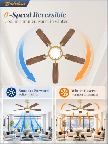 52 Inch Black Ceiling Fans with 3CCT Lights and Remote (Gold / 52")
