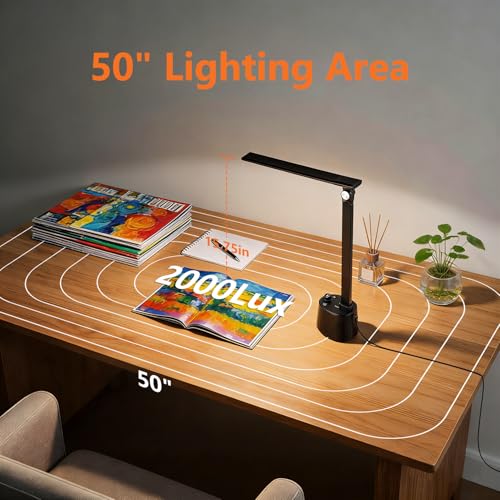 Desk Lamp for Home Office (Matte Black)