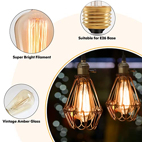 60 Watt Incandescent Edison Light Bulbs (4 Count)