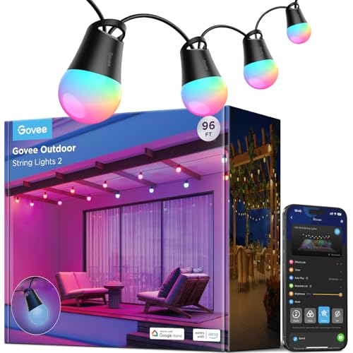 Smart Outdoor String Lights 2 (96 Foot)