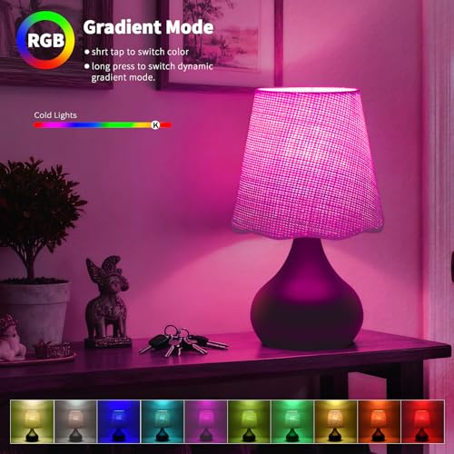 Cordless Table Lamp Rechargeable
