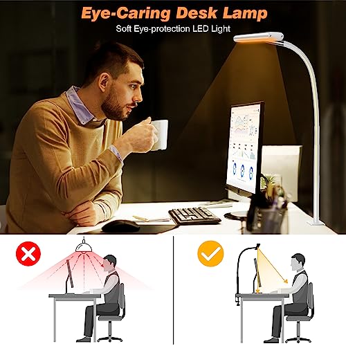 LED Desk Lamp with Clamp