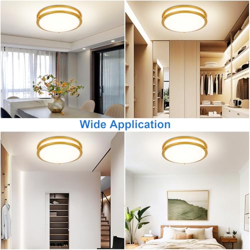 DLLT Flush Mount LED Ceiling Light (2 Count)