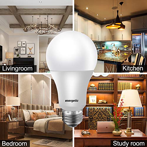 Energetic 24 Pack A19 LED Light Bulb (24 Count)