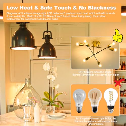 E26 Dimmable A19 Vintage 6W LED Edison Light Bulbs 60 Watt Equivalent (2 Count)