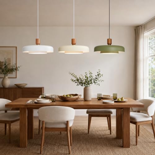 Mid Century Modern Pendant Light
