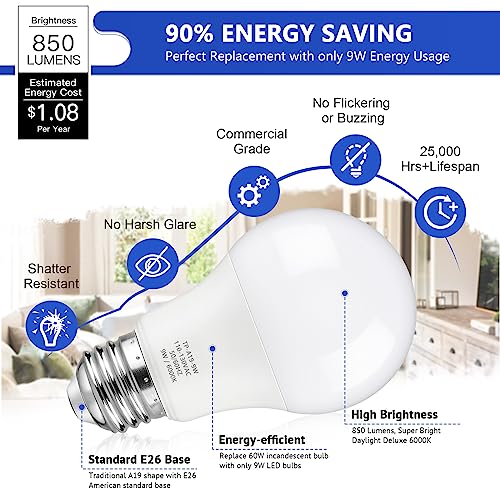 A19 LED Light Bulbs (4 Count)