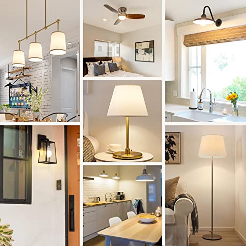 A19 LED Light Bulbs (4 Count)