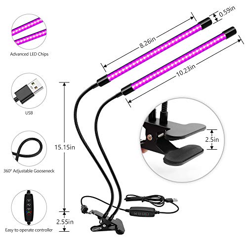 LED Black Light Dual Head